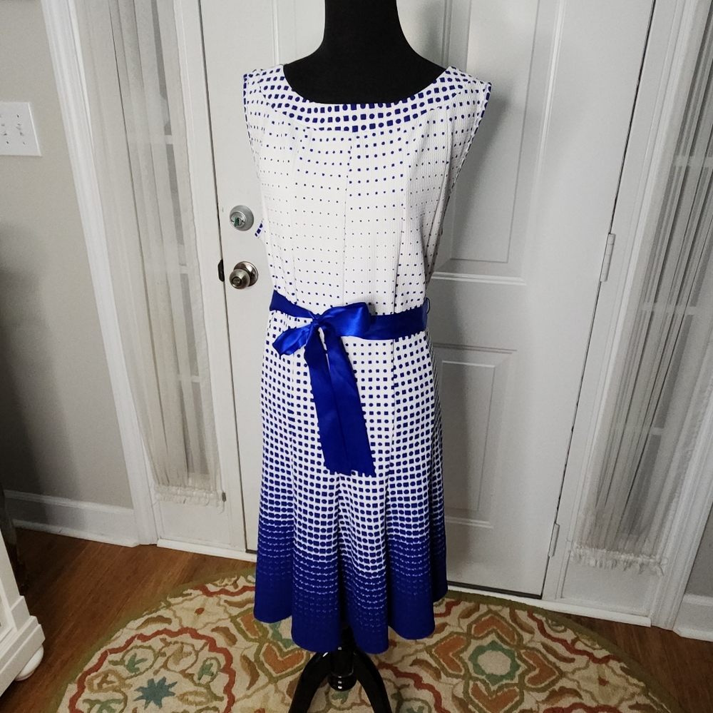 Haani Flirty Blue and White Dress Size XL
